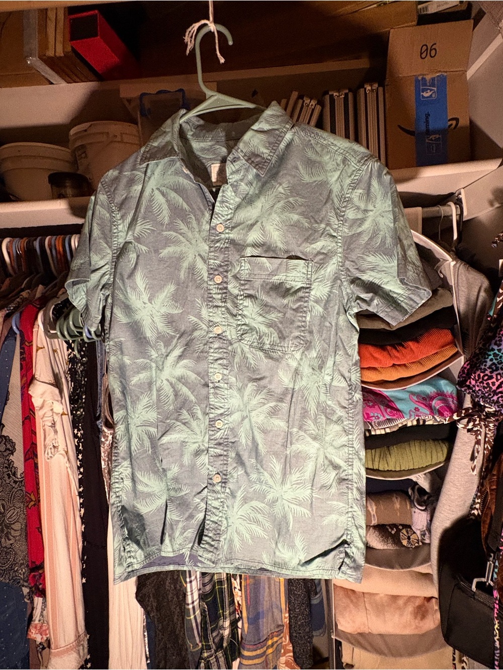 American Eagle Outfitters Men's Short-Sleeve Palm Print Button-Down — Mint Green